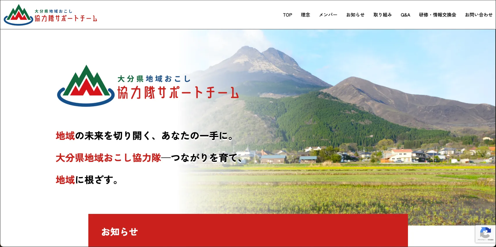 大分県のWeb制作事例 - 大分県地域おこしサポートチーム